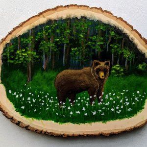 Bear in the forest